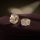 Buble Crystal Elegant