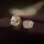 Buble Crystal Elegant