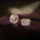 Buble Crystal Elegant
