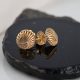 Shell Gold Mini