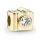 Camera Gold Crystal
