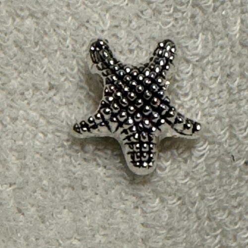 Sea Star Mini