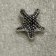Sea Star Mini