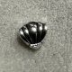 Shell Shine Mini